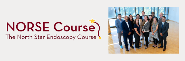 North Star Endoscopy (NORSE) Course Banner